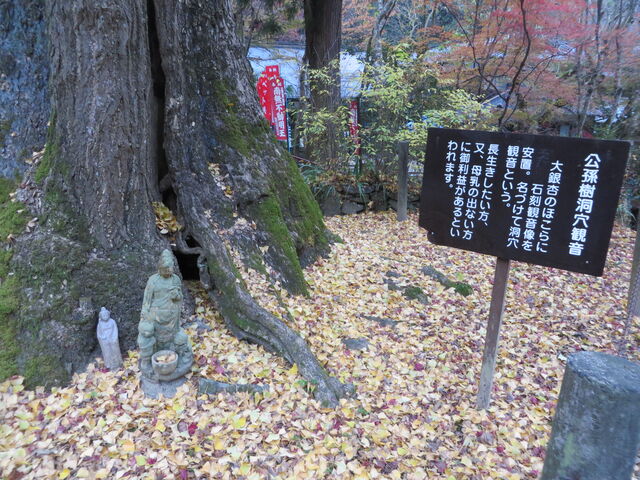 �Ԃ���񂳂�̗������̃C�`���E�̓��e�ʐ^3