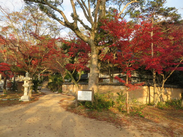 �g�t_�o�����^���݂�