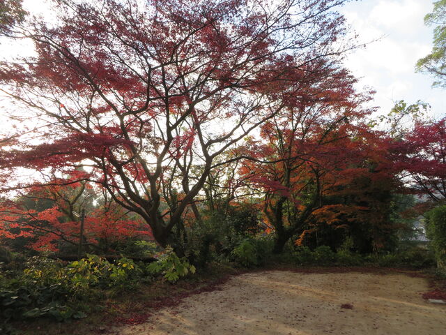 �Ԃ���񂳂�̊o�����^���݂��̓��e�ʐ^4