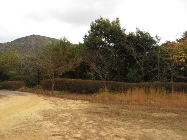 ��_�����R���R�����^������