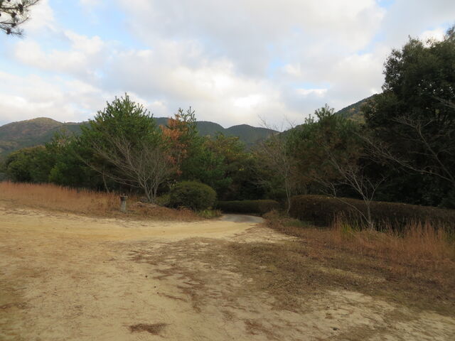 �Ԃ���񂳂�̍����R���R�����^������̓��e�ʐ^2