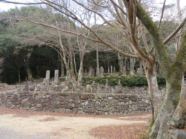 �Ԃ���񂳂�̑���`����]�̕揊�̓��e�ʐ^2