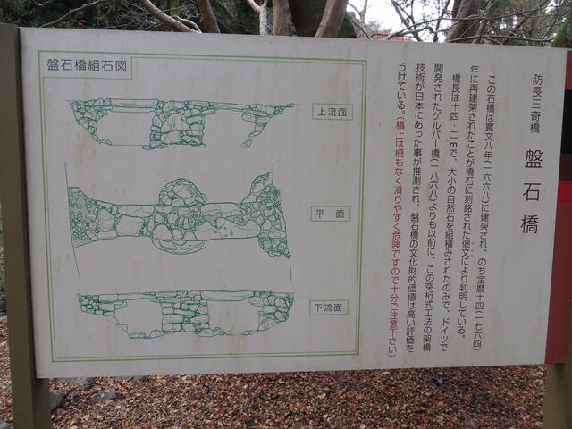 �Ԃ���񂳂�̔Ր΋��̓��e�ʐ^2