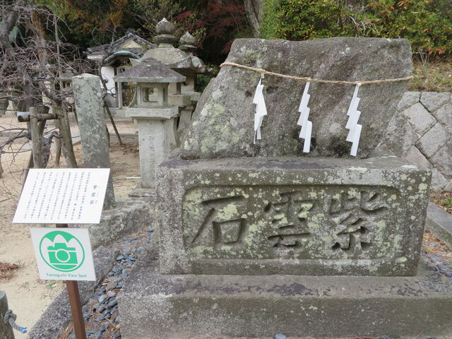 Ԃ񂳂̎_΁yh{V{z̓eʐ^1