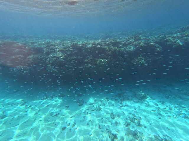 xocO_OKK MARINE CLUB