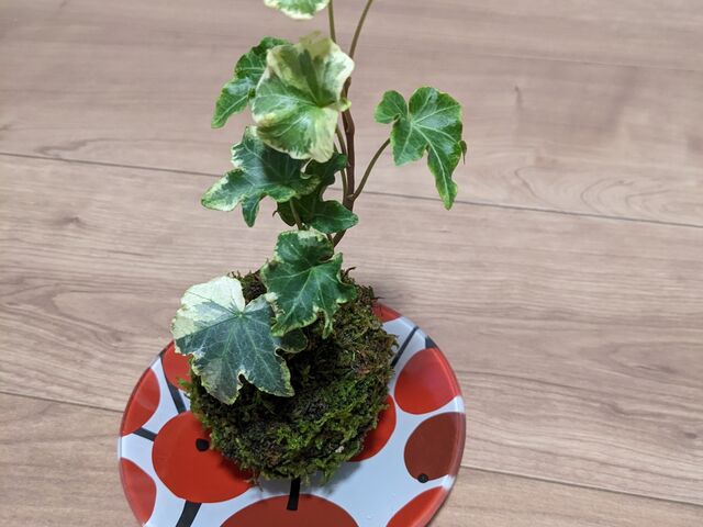 Mŕ͋CςAǂCeAɂȂ܂B_AgG