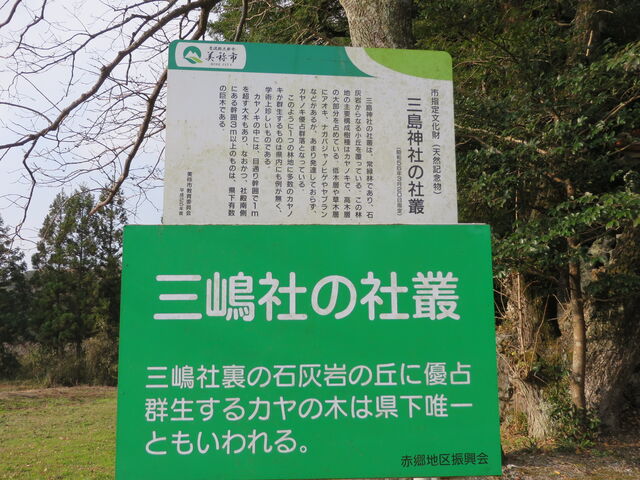 �Ԃ���񂳂�̎O���_�ЎБp�y�J���m�L�z�̓��e�ʐ^2