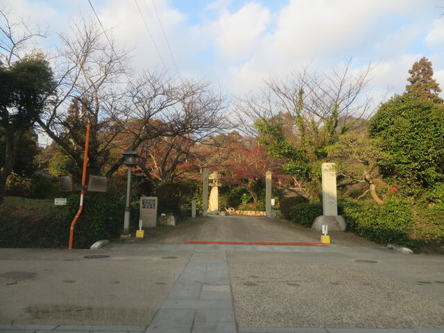 �Ԃ���񂳂�̊o�����̓��e�ʐ^1