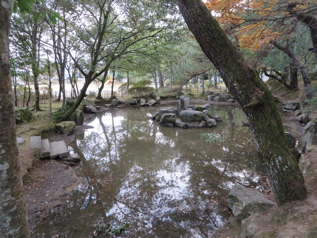 �Ԃ���񂳂�̍��R�����i���R�揊�A�I�R���A�������j�̓��e�ʐ^1