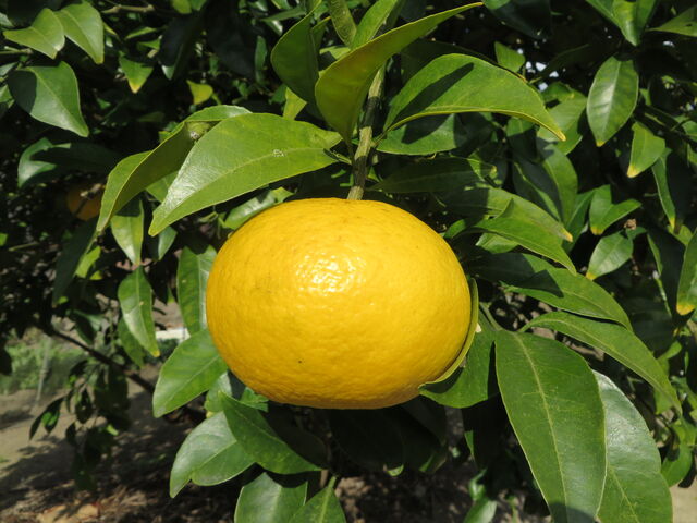 ��_�����i�c�~�J������