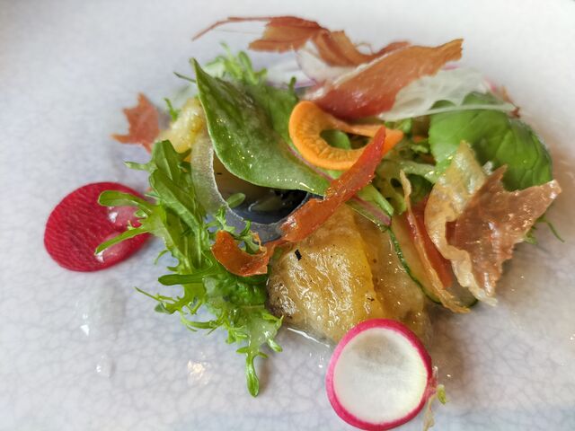 �ڂɂ��h�{�I�@���n�������������I_�U����C�r�A�{��