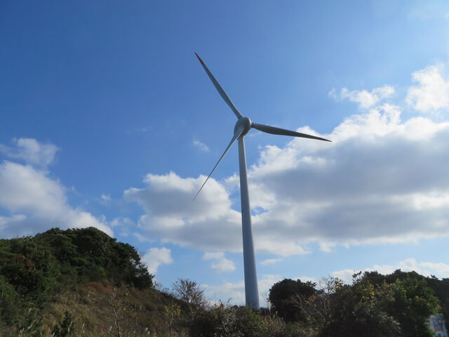 ����_���u�E�C���h�p�[�N