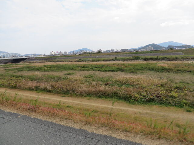 �Ԃ���񂳂�̍��g��͐�~�̓��e�ʐ^2