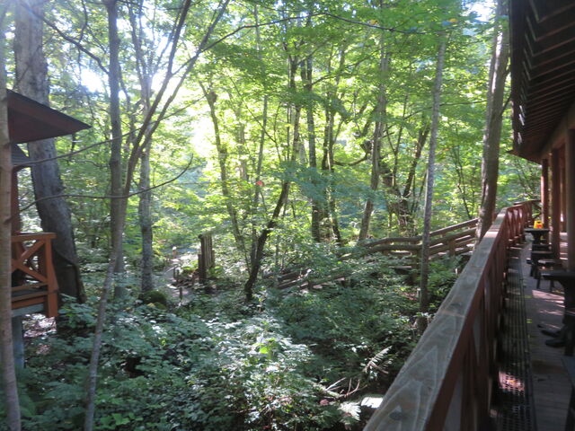 �������V����_�������N����