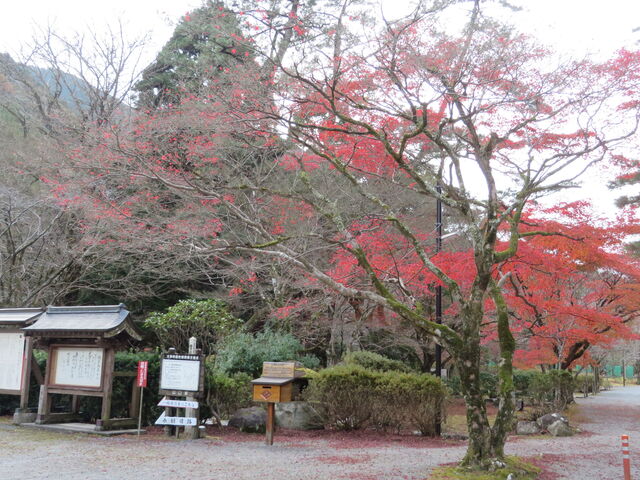 �g�t_��J���^���݂�