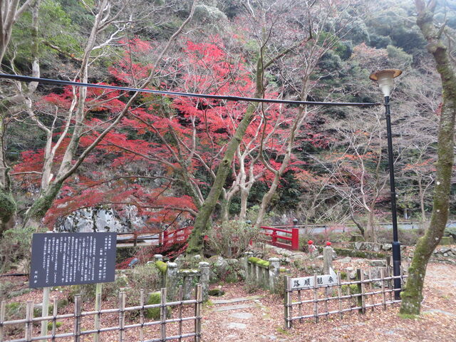 �g�t_��J���^���݂�