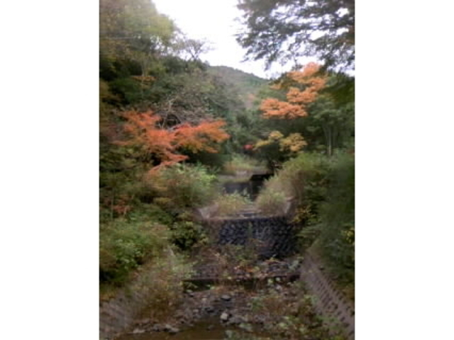 VƎRnCLOR[Xɂ鏬ȉ͐_͌