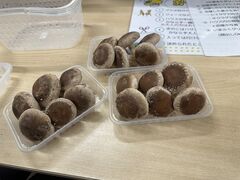 񂳂̂܂ӂO[nEXւ̓eʐ^3