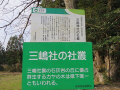 Ԃ񂳂̎O_ЎБpyJmLzւ̓eʐ^1