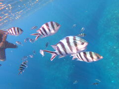 [̃}Nu Gigiւ̓eʐ^1