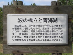 �Ԃ���񂳂�̐C�΂ւ̓��e�ʐ^1