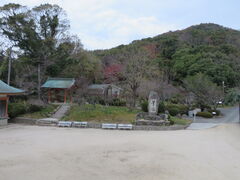 Ԃ񂳂̓V_Rih{V{j^ւ̓eʐ^1