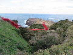 Ԃ񂳂̌T_Ђւ̓eʐ^1