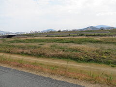 Ԃ񂳂̍g͐~ւ̓eʐ^1