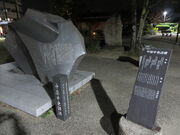 �Ԃ���񂳂�̒������玍��̓��e�ʐ^1