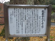 �Ԃ���񂳂�̗������̃C�`���E�̓��e�ʐ^1