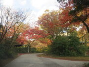 �Ԃ���񂳂�̊o�����^���݂��̓��e�ʐ^2