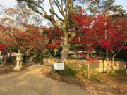 �Ԃ���񂳂�̊o�����^���݂��̓��e�ʐ^3