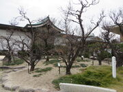 �Ԃ���񂳂�̖h�{�V���{�^���߂̓��e�ʐ^2