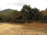 �Ԃ���񂳂�̍����R���R�����^������̓��e�ʐ^1