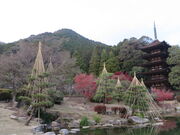 �Ԃ���񂳂�̍��R�����E�ڗ������^������̓��e�ʐ^1