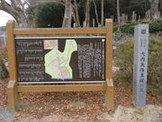 �Ԃ���񂳂�̑���`����]�̕揊�̓��e�ʐ^1