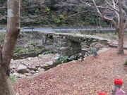 �Ԃ���񂳂�̔Ր΋��̓��e�ʐ^1