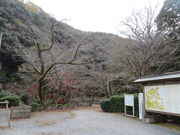 �Ԃ���񂳂�̑�J���^������̓��e�ʐ^1