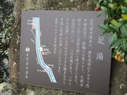 �Ԃ���񂳂�̑����y���M��͐�����z�̓��e�ʐ^1