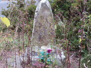 �Ԃ���񂳂�̔����ҁm�h�{�n�̓��e�ʐ^1