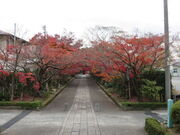 �Ԃ���񂳂�̗������^���݂��E�����傤�̓��e�ʐ^1