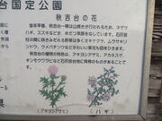 �Ԃ���񂳂�̏H�g��̎R�쑐�̓��e�ʐ^1