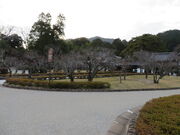 �Ԃ���񂳂�̍��R�����^���߂̓��e�ʐ^1