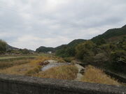 �Ԃ���񂳂�̉��M��̓��e�ʐ^1