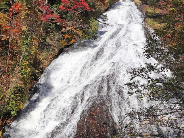 2025�N10��23��11��_����