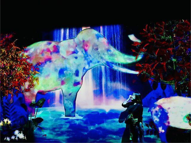 X̒ő傫ȑɏo܂_`[{tHXg -SBI،