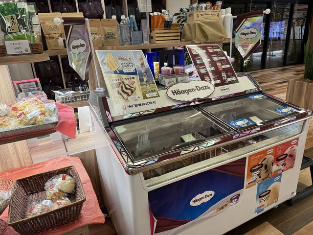 n[Q_bc܂IiǐSIłтI\360-炢ł_Ó t