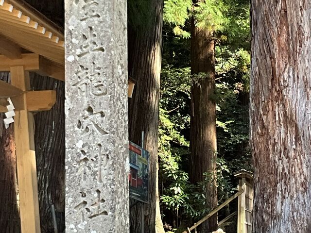 ���������_�Ў���