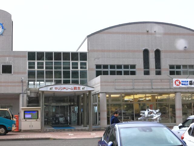 ���ʓ������_���̉w �}�����h���[���\��