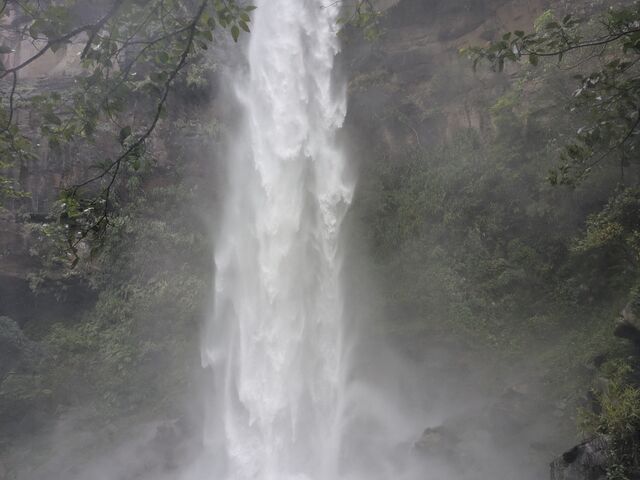 siCT[̑B10{̔͂łII_\ۋC